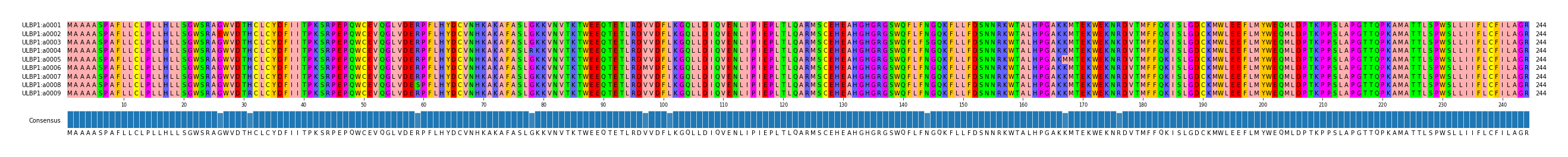 Multiple Alignments (by translate haplotype frequency)