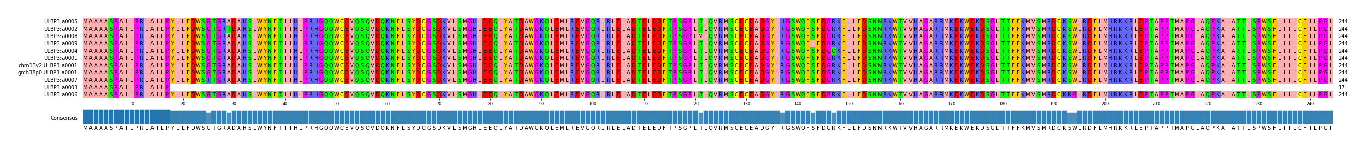 Multiple Alignments (by translate haplotype similarity)