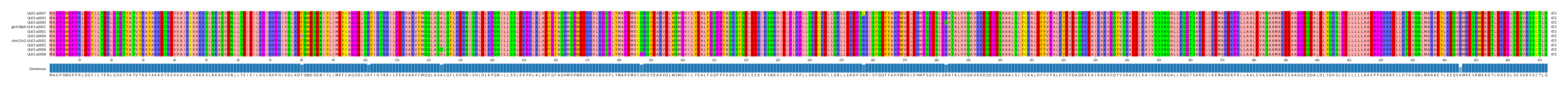 Multiple Alignments (by translate haplotype similarity)