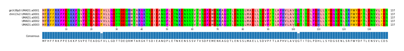 Multiple Alignments (by translate haplotype frequency)
