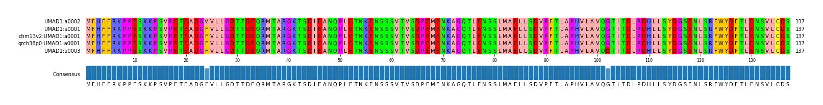 Multiple Alignments (by translate haplotype similarity)