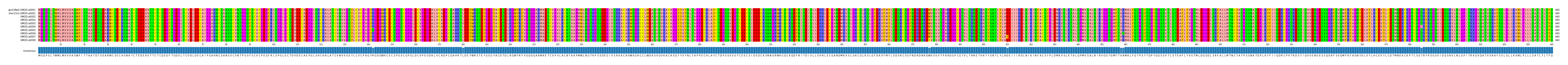 Multiple Alignments (by translate haplotype frequency)