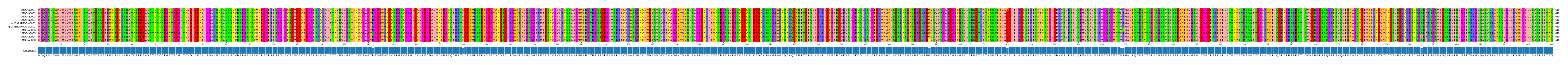 Multiple Alignments (by translate haplotype similarity)