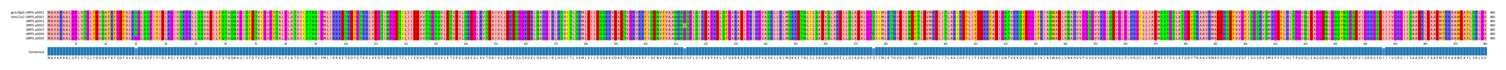 Multiple Alignments (by translate haplotype frequency)