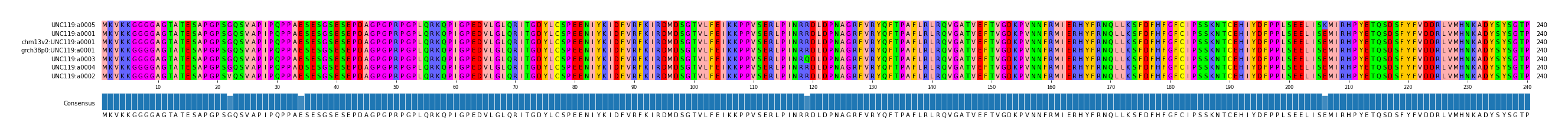 Multiple Alignments (by translate haplotype similarity)