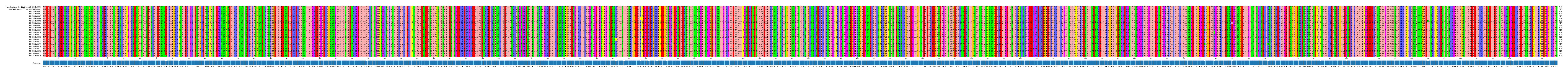 Multiple Alignments (by translate haplotype frequency)