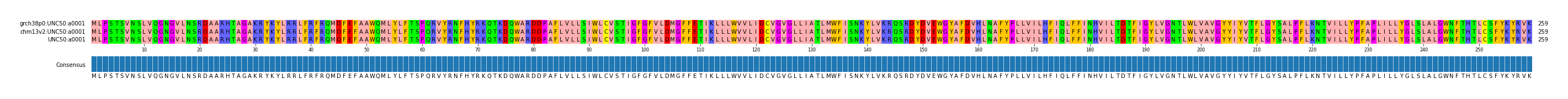 Multiple Alignments (by translate haplotype similarity)