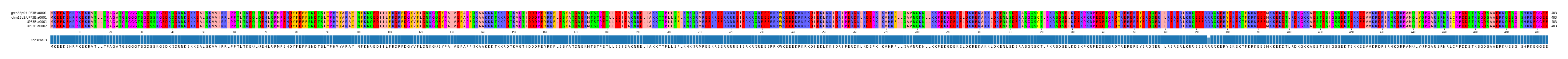 Multiple Alignments (by translate haplotype similarity)