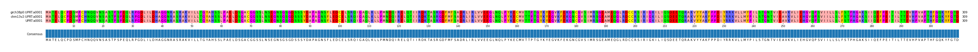 Multiple Alignments (by translate haplotype similarity)