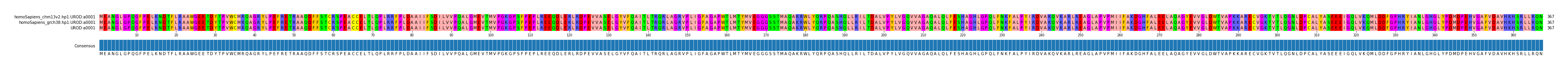 Multiple Alignments (by translate haplotype similarity)