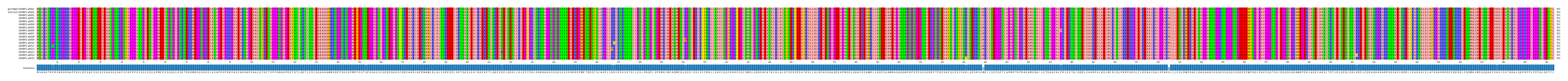 Multiple Alignments (by translate haplotype frequency)
