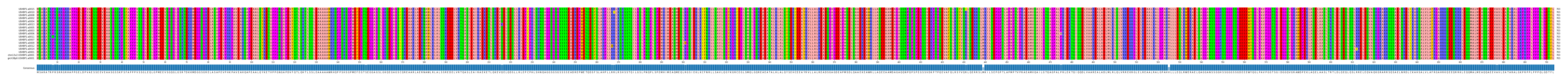 Multiple Alignments (by translate haplotype similarity)