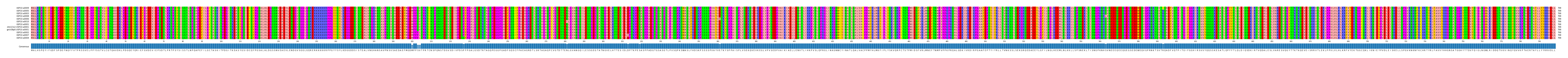 Multiple Alignments (by translate haplotype similarity)