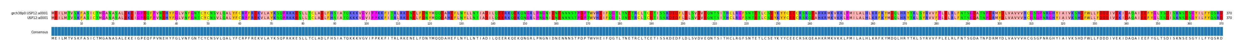 Multiple Alignments (by translate haplotype similarity)