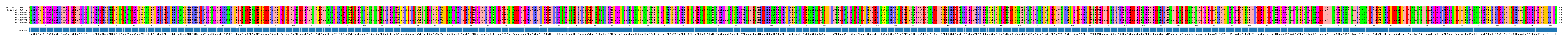 Multiple Alignments (by translate haplotype frequency)