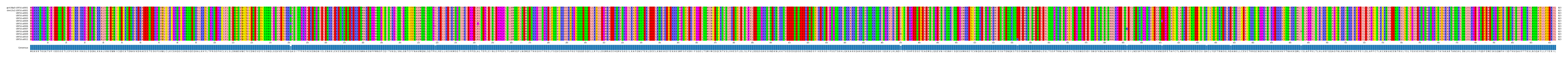 Multiple Alignments (by translate haplotype frequency)