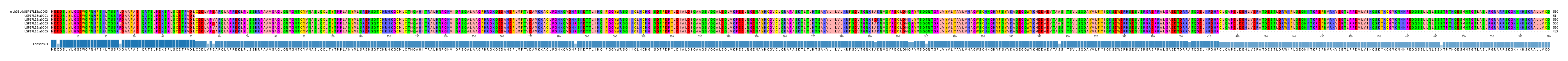 Multiple Alignments (by translate haplotype frequency)