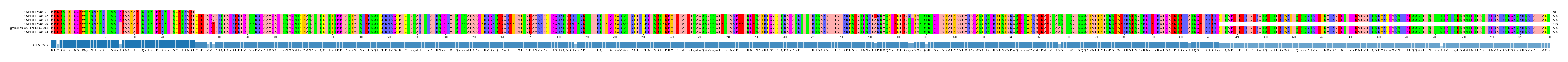 Multiple Alignments (by translate haplotype similarity)