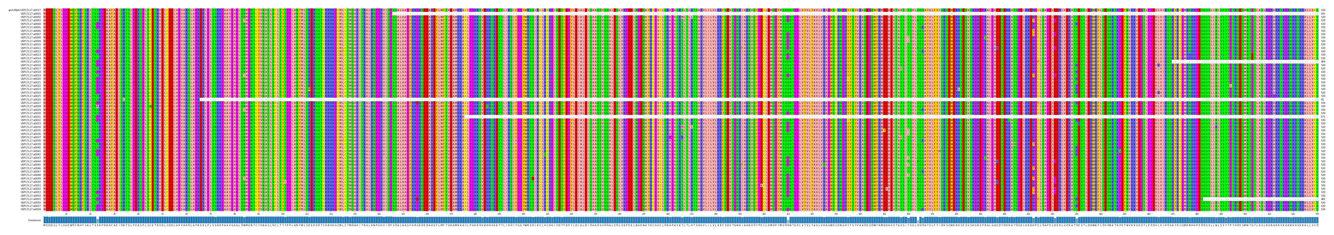 Multiple Alignments (by translate haplotype frequency)