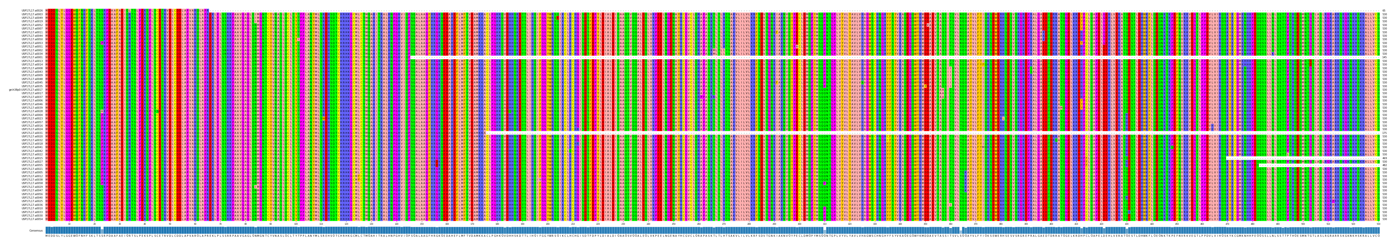 Multiple Alignments (by translate haplotype similarity)