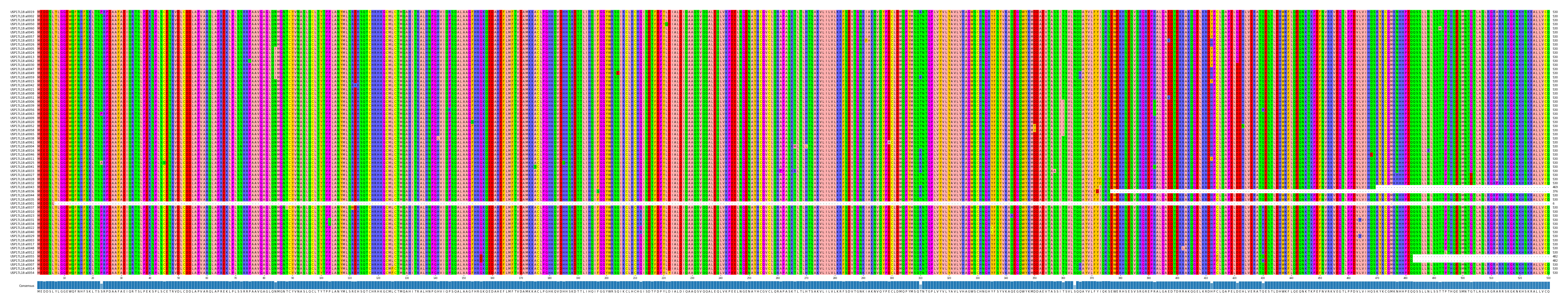 Multiple Alignments (by translate haplotype similarity)