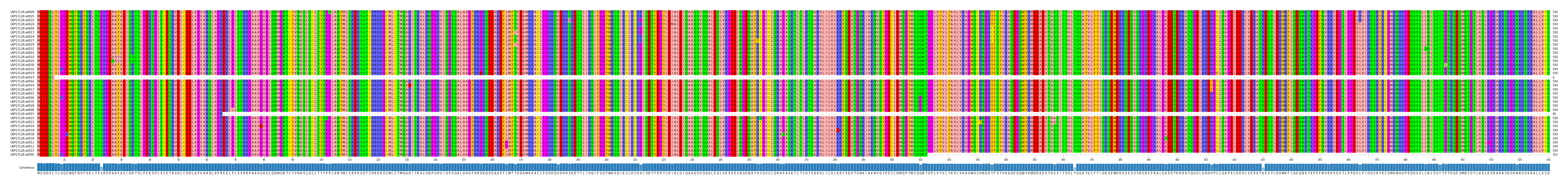 Multiple Alignments (by translate haplotype similarity)