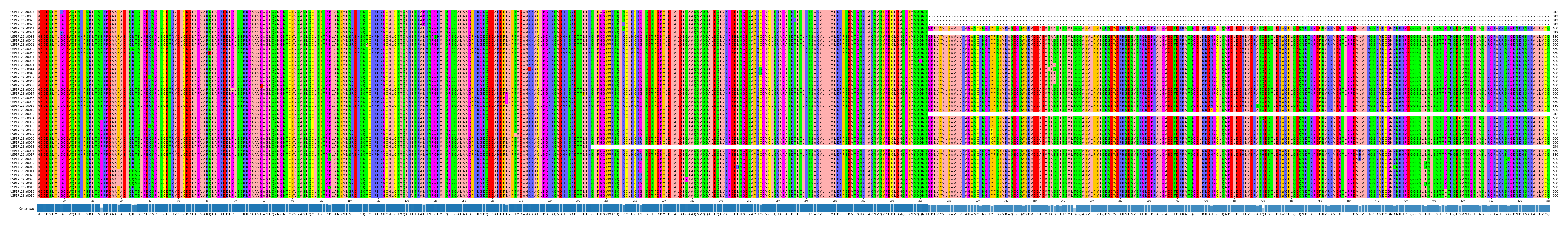 Multiple Alignments (by translate haplotype similarity)