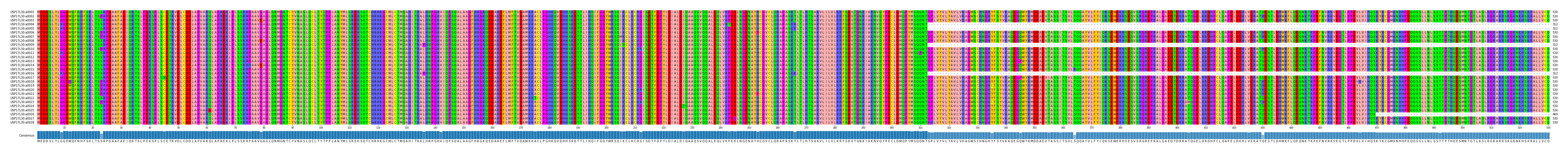 Multiple Alignments (by translate haplotype frequency)