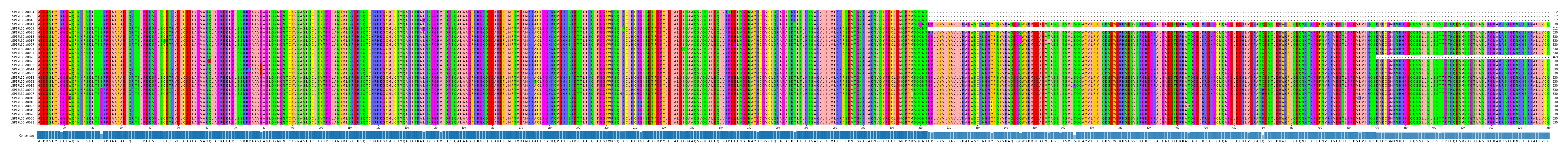Multiple Alignments (by translate haplotype similarity)