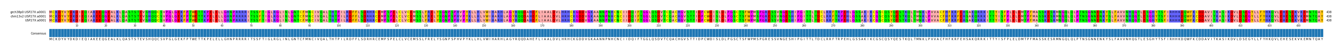 Multiple Alignments (by translate haplotype similarity)