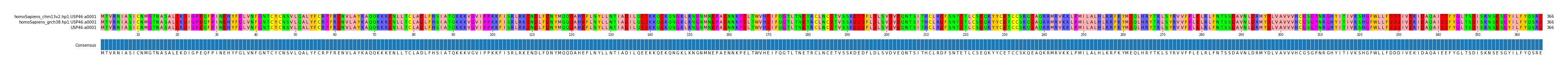 Multiple Alignments (by translate haplotype similarity)