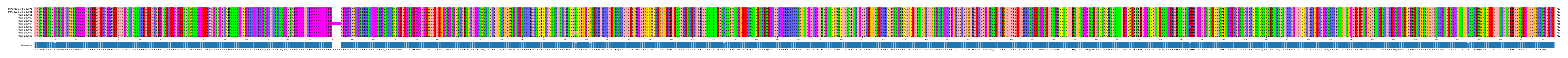 Multiple Alignments (by translate haplotype frequency)