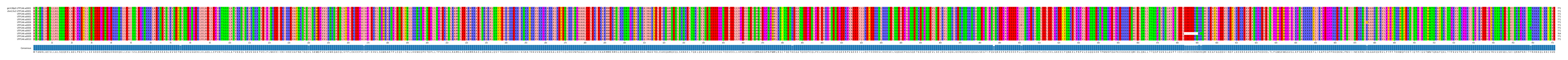 Multiple Alignments (by translate haplotype frequency)