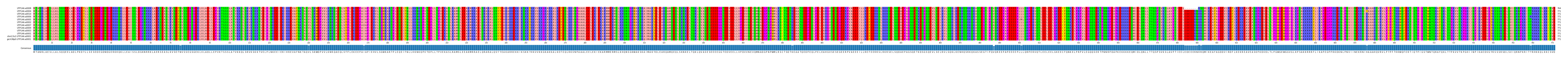 Multiple Alignments (by translate haplotype similarity)