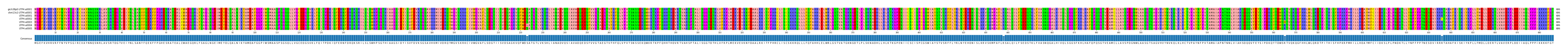 Multiple Alignments (by translate haplotype frequency)