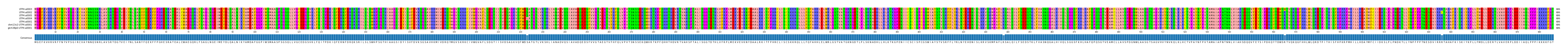 Multiple Alignments (by translate haplotype similarity)