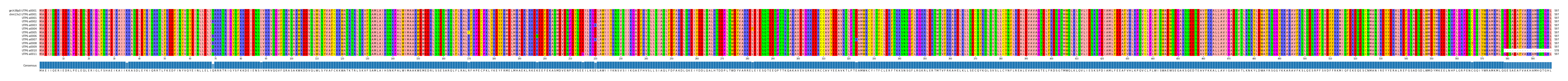 Multiple Alignments (by translate haplotype frequency)