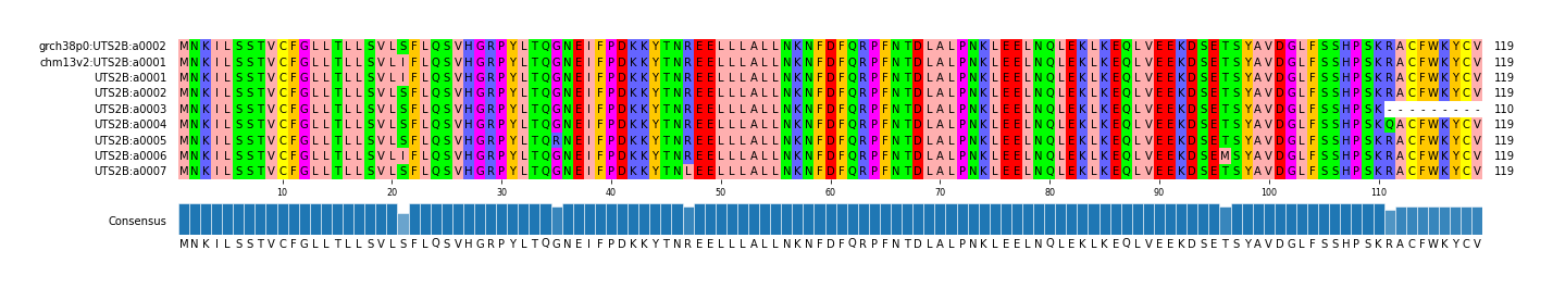 Multiple Alignments (by translate haplotype frequency)