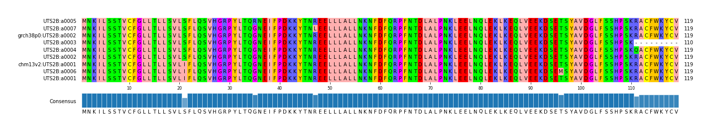Multiple Alignments (by translate haplotype similarity)