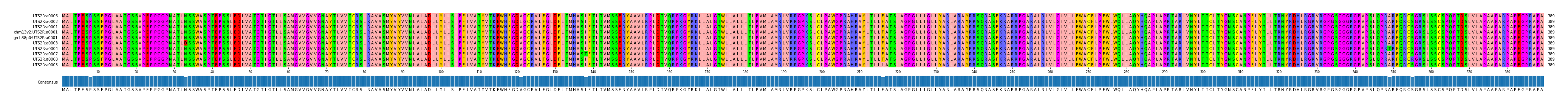 Multiple Alignments (by translate haplotype similarity)