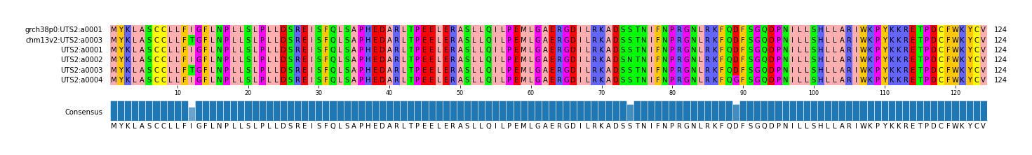 Multiple Alignments (by translate haplotype frequency)