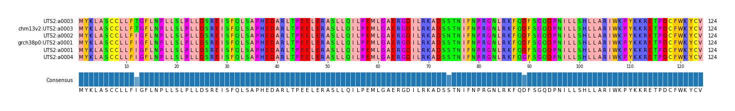 Multiple Alignments (by translate haplotype similarity)