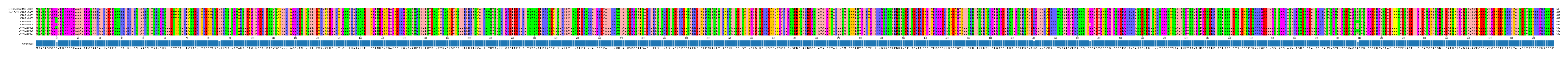 Multiple Alignments (by translate haplotype frequency)