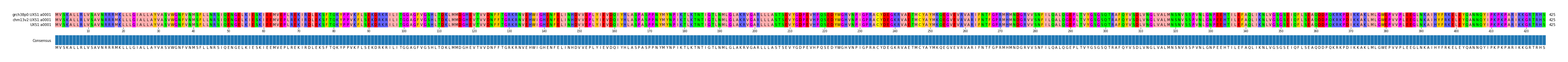 Multiple Alignments (by translate haplotype similarity)