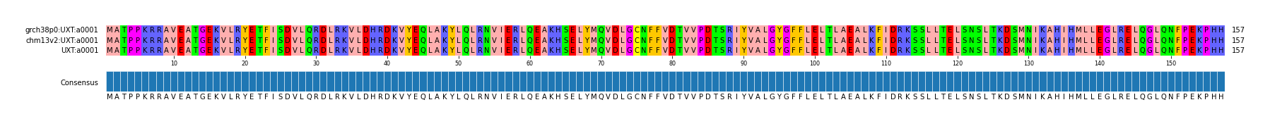 Multiple Alignments (by translate haplotype similarity)