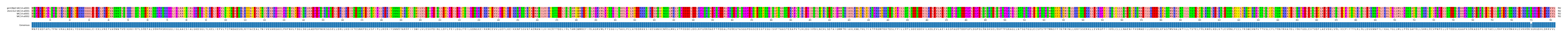 Multiple Alignments (by translate haplotype similarity)