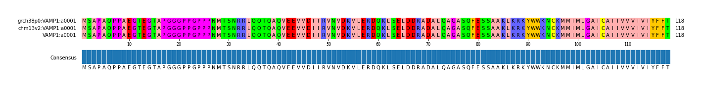 Multiple Alignments (by translate haplotype similarity)