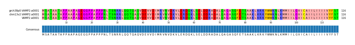 Multiple Alignments (by translate haplotype similarity)