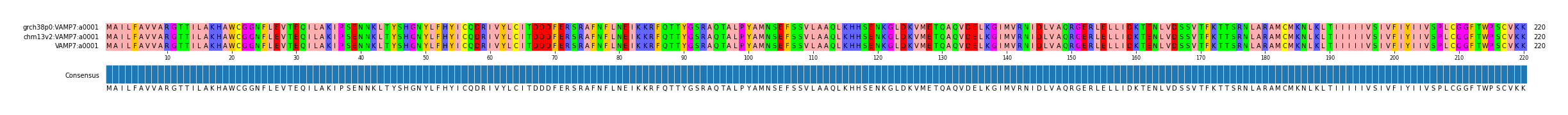 Multiple Alignments (by translate haplotype similarity)