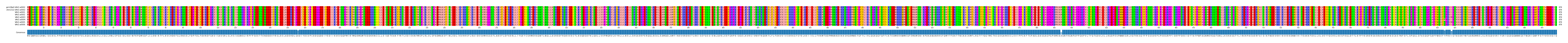Multiple Alignments (by translate haplotype frequency)